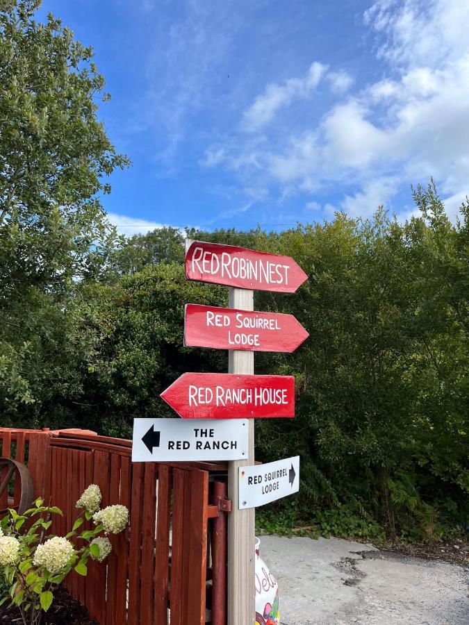 Sallys Cabin Kilcolgan 외부 사진